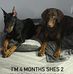 Jaime Harding - Facebook