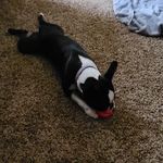 Jaime Shay Heck - @jaimeheck93 - Instagram