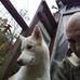 Jamie N Johnothan Heck - Facebook