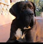 Jaime Burguera Hermida - Facebook