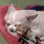 Jaime Hermida Villaseñor - @jhermidav - Instagram