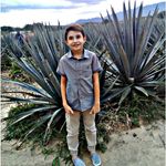 Jaime Hermosillo - @hermosillo_jaime - Instagram