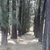 Jaime Hermosillo - @jaime.hermosillo8 - TikTok