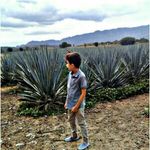 Jaime Morales Hermosillo - @jaimemoraleshermosillo - Instagram
