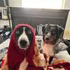 Jaimehouses - @jaimehouses - TikTok