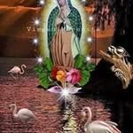 Jaime Jacobo - @jacobo6782 - Instagram