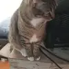 Jaime Jacome - @jaime.jacome79 - TikTok