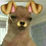 Jaime Jacome - @mormormoe - Instagram