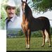 Jaime Jimenez - Facebook