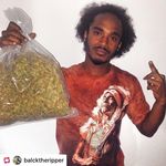 Jaime Jordan - @jaimejordan2020 - Instagram