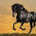Jaime Jordan - Facebook