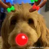 Jamie Keller - @jamie_keller2516 - TikTok
