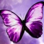 Jaime Lynch - @beabutterfly17 - Instagram