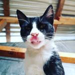 Jaime Manriquez - @jmanrqz - Instagram