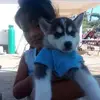 Jaime Manriquez - @jaime.manriquez1 - TikTok