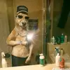 Marcusis jaime - @marcusis.jaime - TikTok