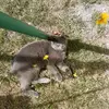 fp.jaimemarion6 - @fp.jaimemarion6 - TikTok