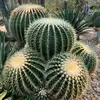 landscaping 2004 - @jaime.martinez226 - TikTok