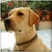 Jaime Martini - Facebook