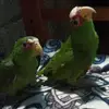 Jaime Matias - @jaime.matias0 - TikTok