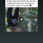 Jaime Matus - @matusjaime1944 - Instagram