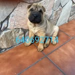 Jaime Figueras Matute - @jaimefiguerasmatute - Instagram