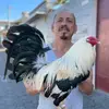 Jaime Mayorga - @jaimemayorga09 - TikTok