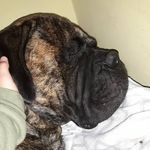 jaime mcgregor - @lil_sis2009124567 - Instagram