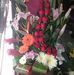 Jaime Millan Jimy - Facebook