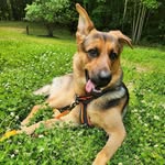 Jaime Mooney - @gradiej - Instagram