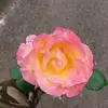 JaimeMooney - @jaimemooneyrrblskdc - TikTok