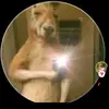Jaime Morel De León - @jaime.morel.de.le7 - TikTok