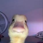 Jaime Morillo Julià - @jaimem_61 - Instagram
