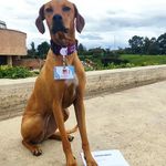 Jaime Muñetón Acero - @jamuac1960 - Instagram