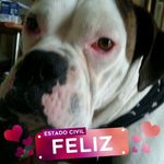 Jaime Olave Olave - @jaimeolaveolave - Instagram