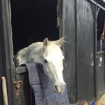 @jaime_oneill5516 - Instagram