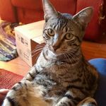 Jaime - @jaime_otto_mikkel - Instagram