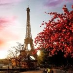 @_jaime_paris_ - Instagram