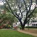 Jaime C Velasquez Park - Facebook