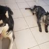 jaime park - @jaime.park0 - TikTok