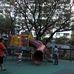 Jaime Velasquez Park, Salcedo - Facebook