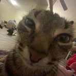 Jaime Phillips - Facebook