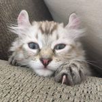 Jamie Pichette - @pichettejamie - Instagram