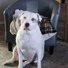 jaimepierce - @jaimepierce79 - TikTok