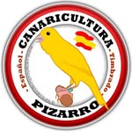 Jaime Pizarro Timbrado Español - @jaime_pizarro_pintado - Instagram