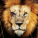 Jaime Posadas - @posadas217 - Instagram