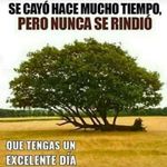 Jaime Prieto - @jaime.prieto.1217 - Instagram