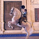 Jaime De La Puerta - @jaimedelapuerta2598 - Instagram