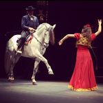 Jaime De La Puerta - @caballosjaimedelapuerta - Instagram