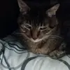 Jaime Puerto - @jaime.puerto02 - TikTok